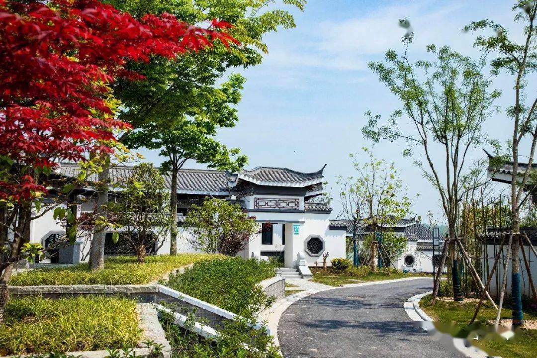 日月洲度假村都市慢生活美好春天里