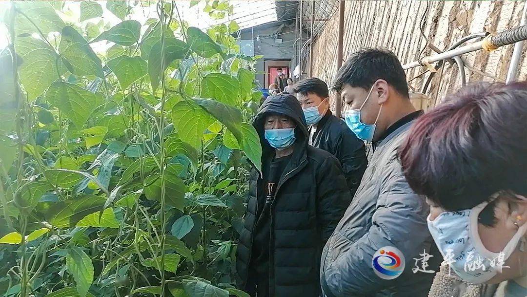 榆树市有多少人口_吉林省榆树市图片(2)