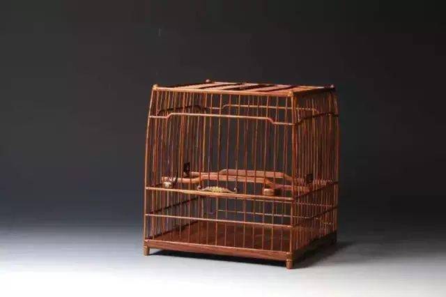 【鸟友汇】为什么要用红木做南笼"官印笼"