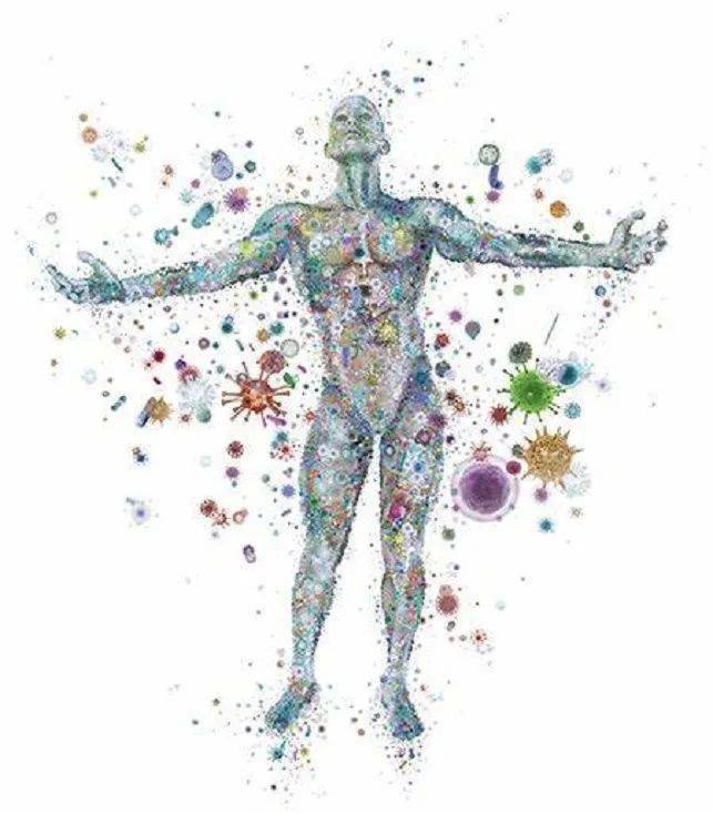 印度人直接用手抓饭吃不脏吗