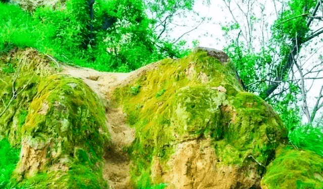 2021苏州园区gdp_苏州园区照片(3)