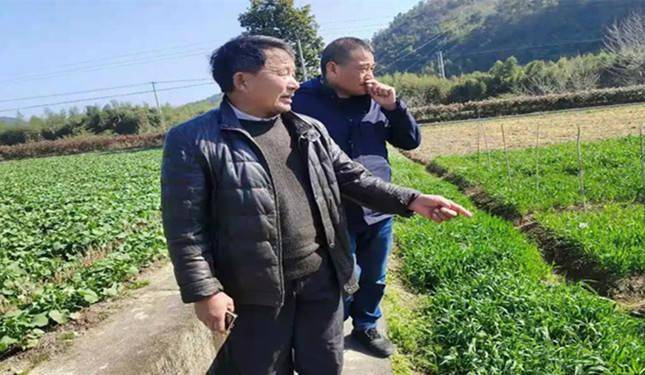 临安人口2021_题临安邸图片(2)