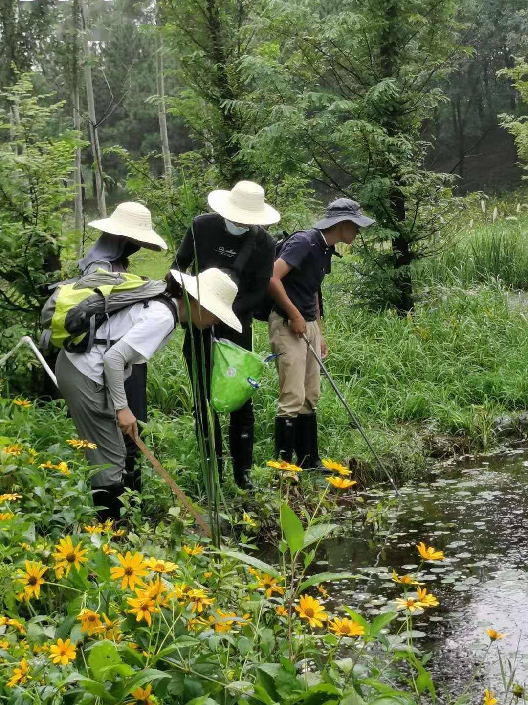 生物 人口_人口老龄化(2)