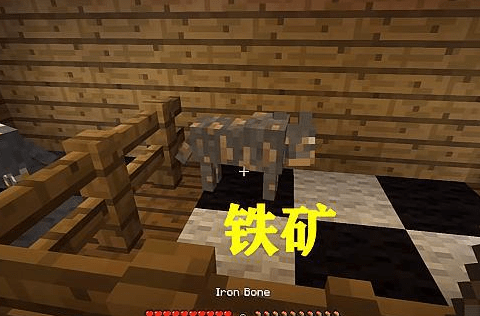 我的世界 Mc中的矿石 只能够通过狗狗才能获得 该怎么选择 黄金矿
