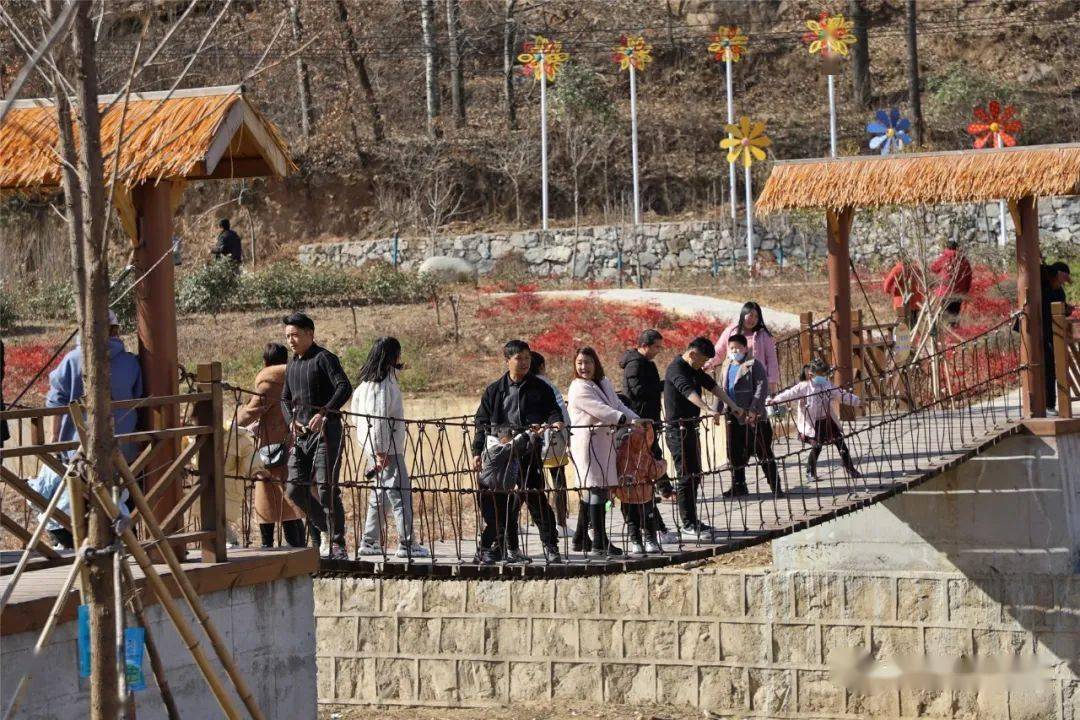 栾川新晋"网红打卡地",风车,梯田,秋千,木桥._湾村