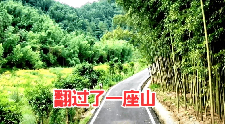 传承了千万年亲邻好友笑开颜梦里梦外喜悦春光暖花开山岗那个红艳艳绿