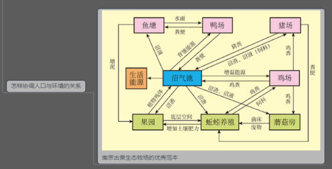 保护大自然的思维导图图片