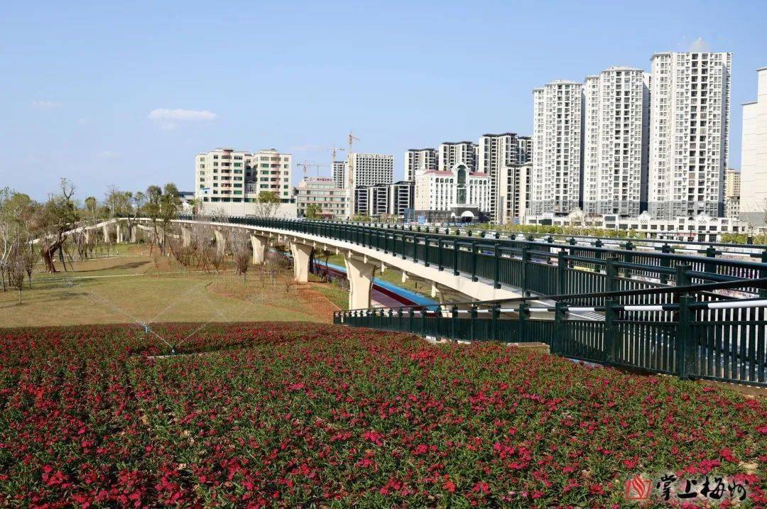 梅城"绿轴"花开报春,你来打卡了吗?_花园广场