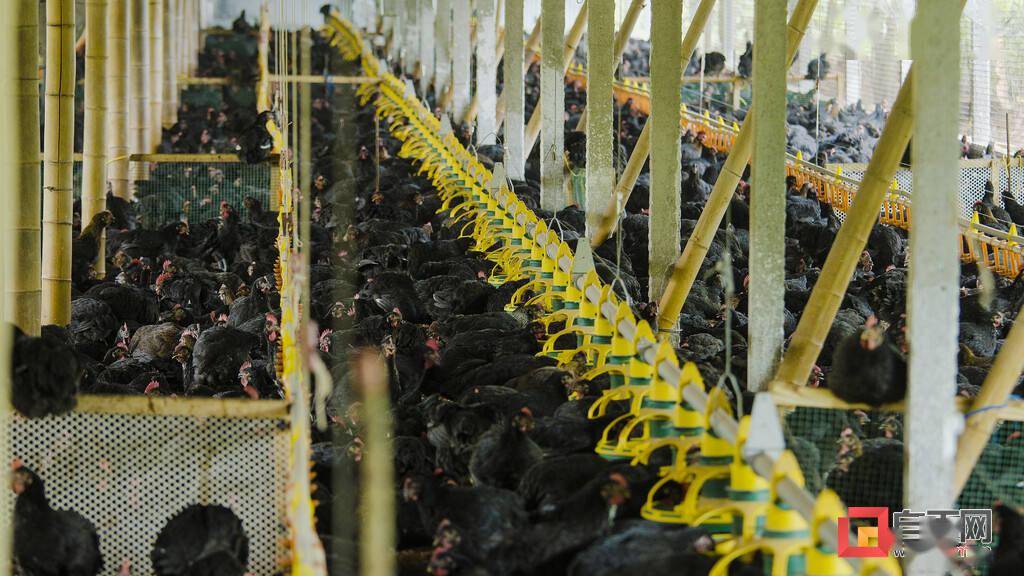 大安镇2020年GDP_2020年中国gdp