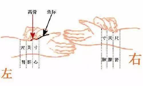 中医口诀大全图 7c19fc63a9ad4296abdfc1190fbd4bf5.jpeg
