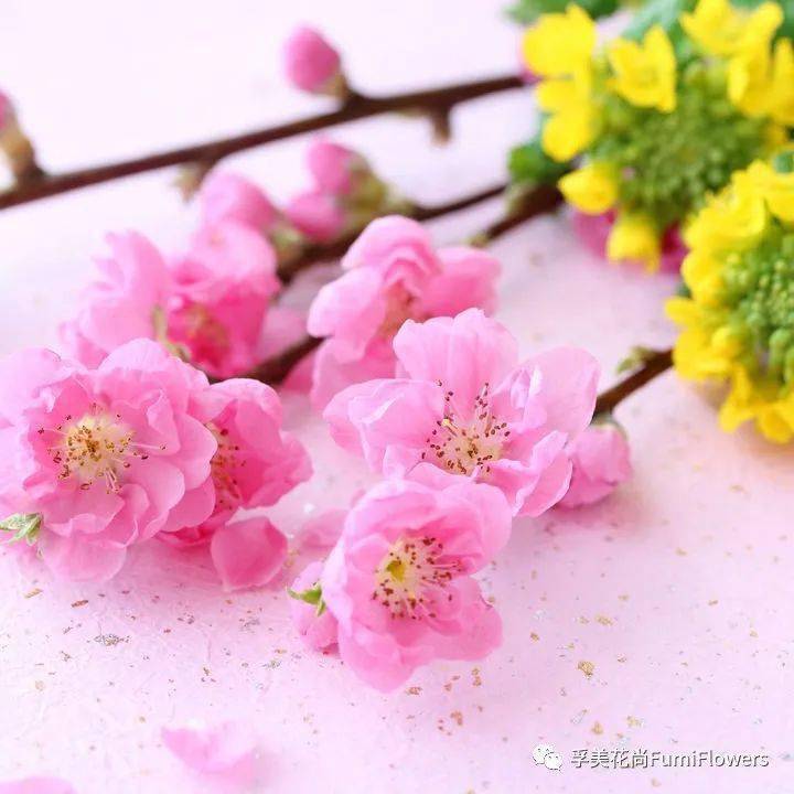 上巳桃花節 装饰 上巳桃花節 装饰