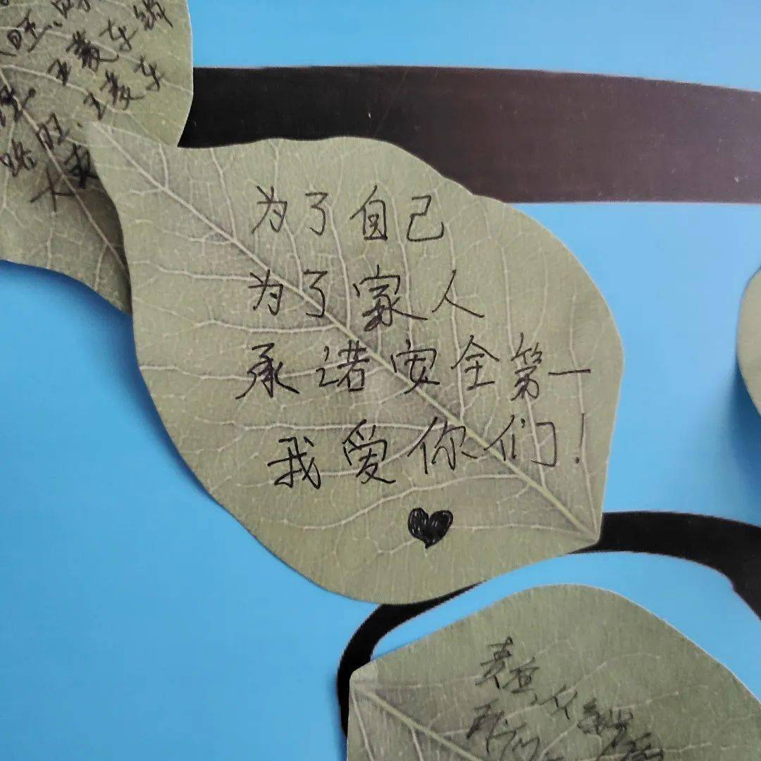 安全树郁郁葱葱,安全寄语常驻心田,让我们携手,共植安全之树,同乘幸福