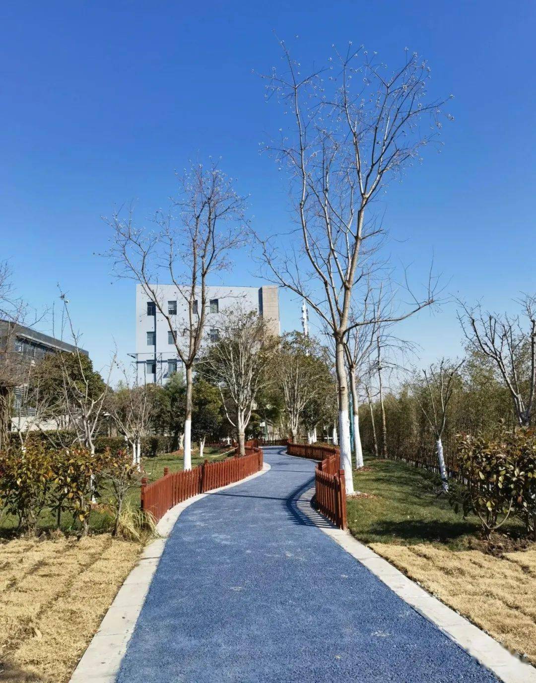 公告从300米到1900米这条健身步道成了环河步道