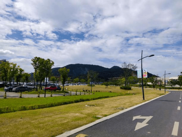 棒下渚湖街道宝塔山村获评省一村万树示范村
