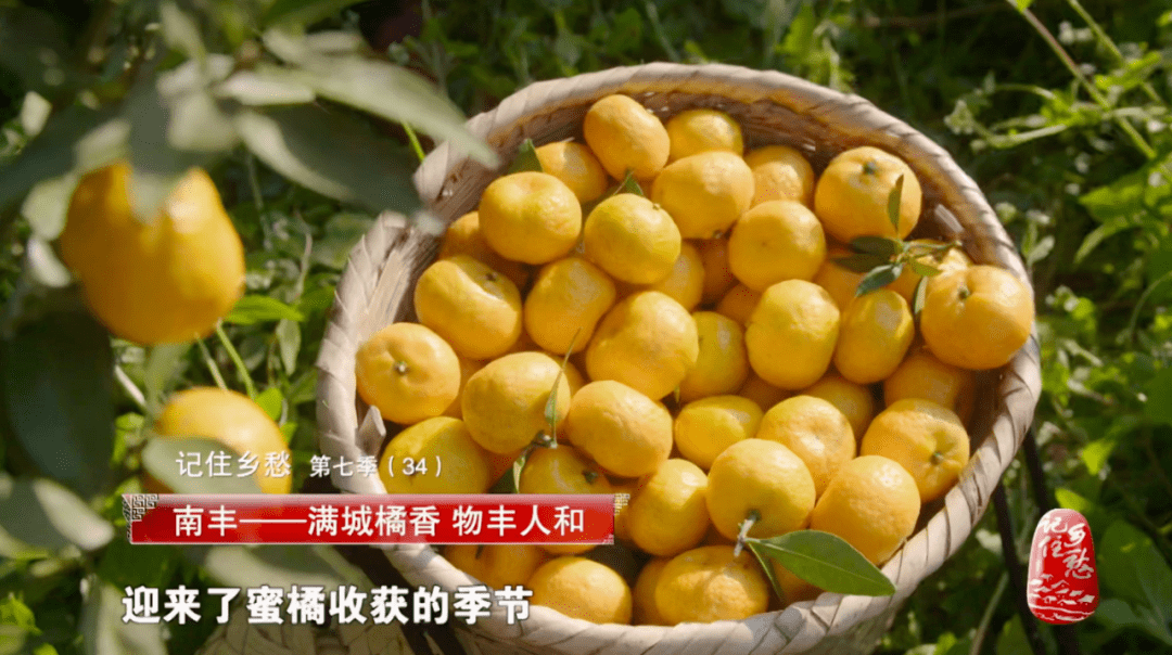 魏晋战乱人口_古代战乱图片(2)
