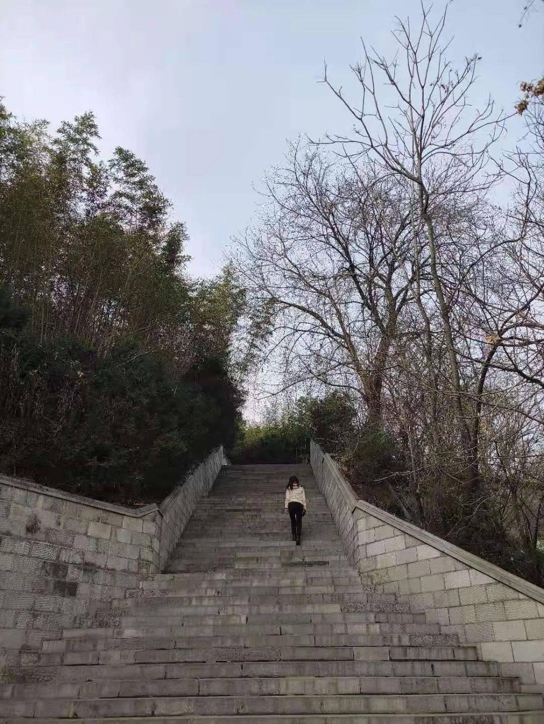 或朋友相伴而行一边赏景一边运动待最终到达炼丹峰一览大美楼观风