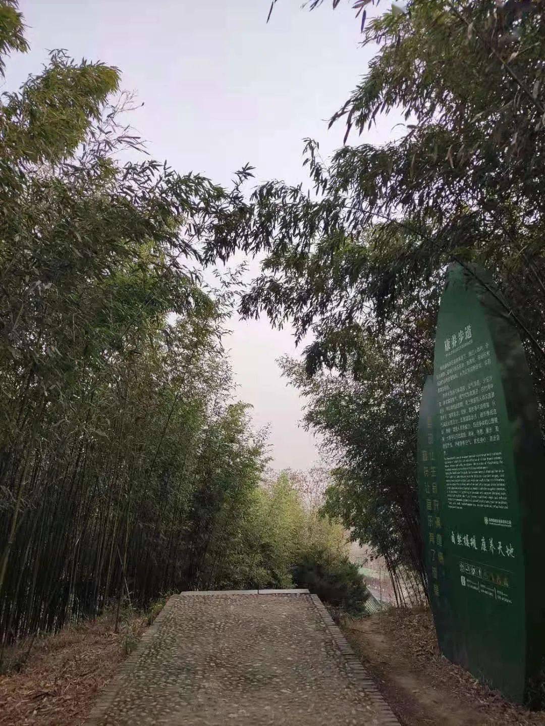 与亲人或朋友相伴而行一边赏景一边运动待最终到达炼丹峰一览大美