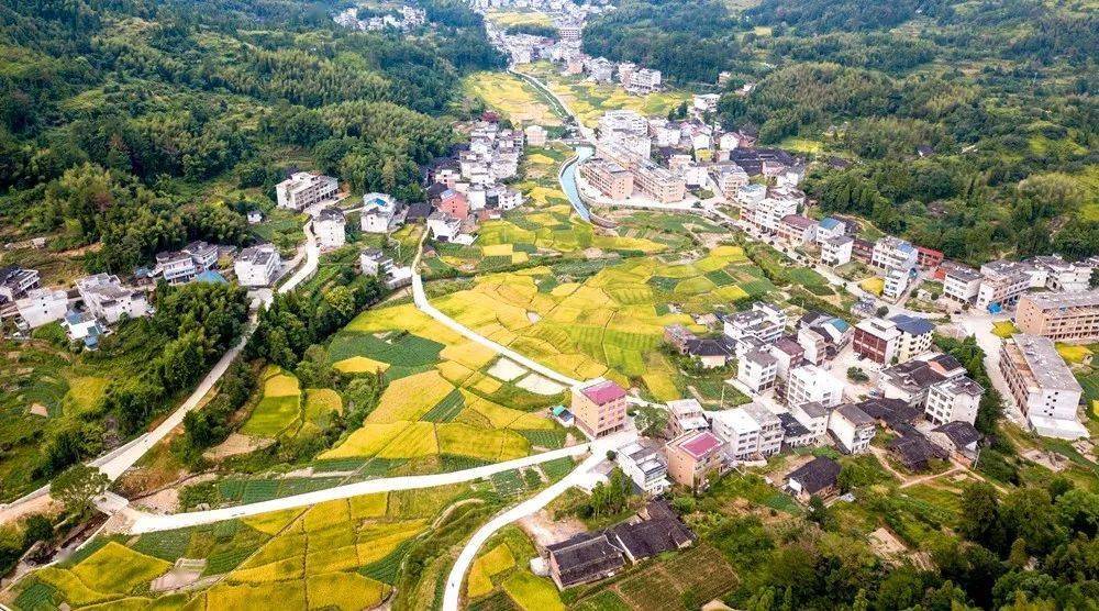 命名表彰泰顺这些乡镇有了新称号