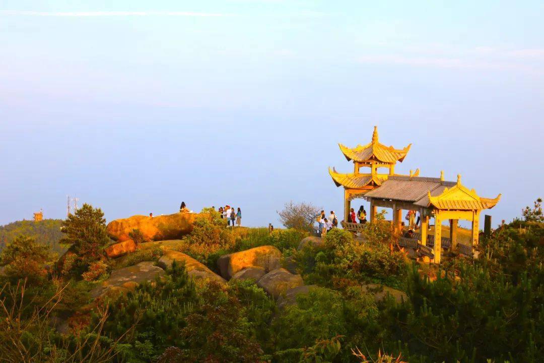 横阳支江向日葵▲春 · 鹤顶山杜鹃花li yang这是我的素颜照我叫苍南