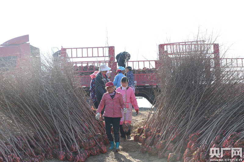 彭泽县芙蓉墩镇五联村人口_彭泽县地图