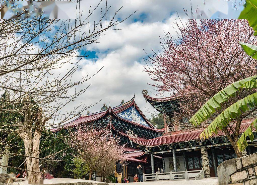 梅好春光特價0688林陽寺九峰村汽車1日遊2月2728日發團