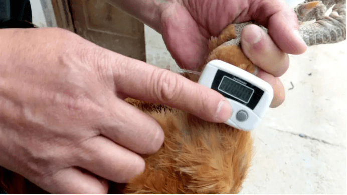 计步器排行_我想一个计步器2020排行榜前十名下载_好玩的我想一个计步器大全_...