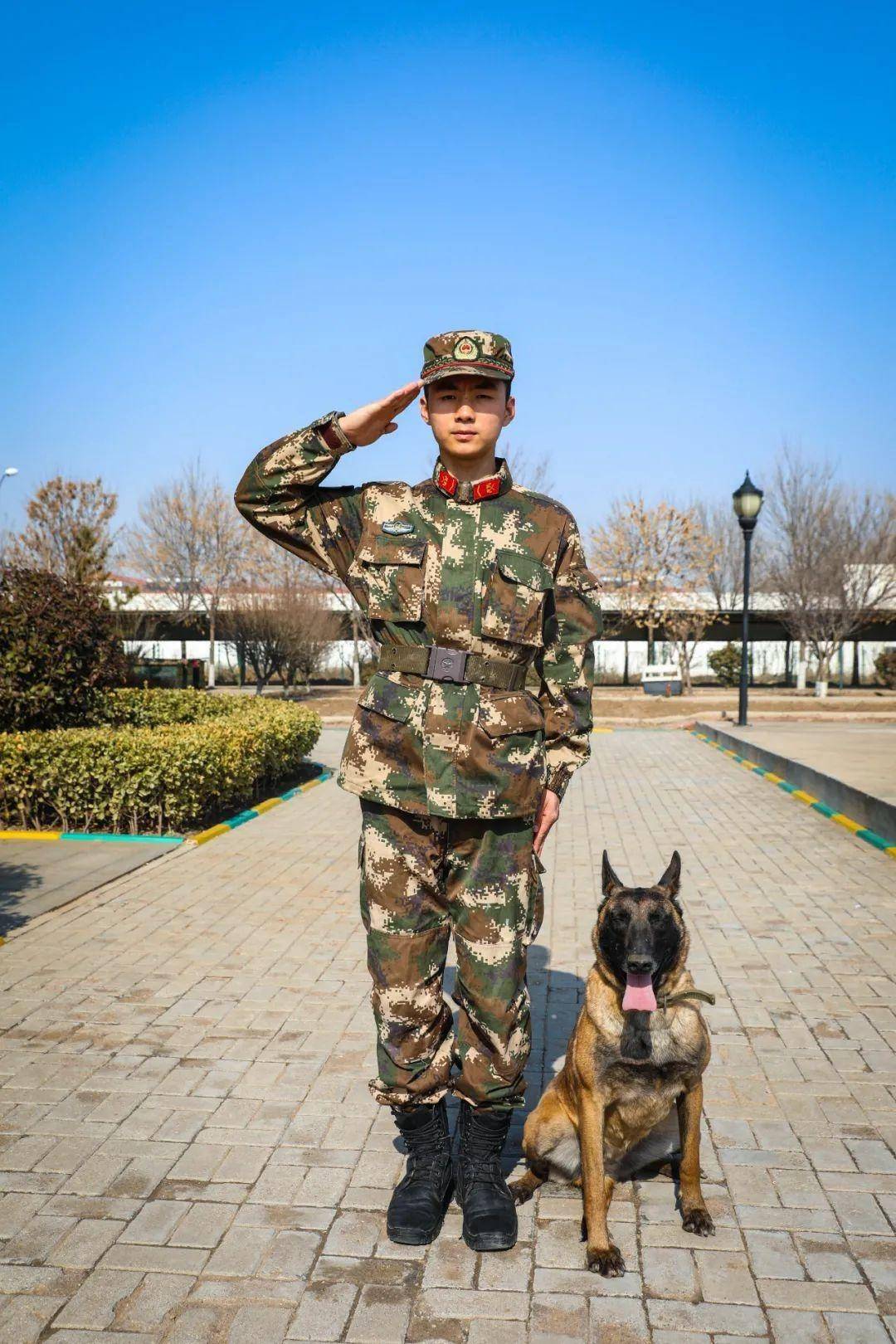 军犬兄妹档报到林依和曼越的快乐从军记