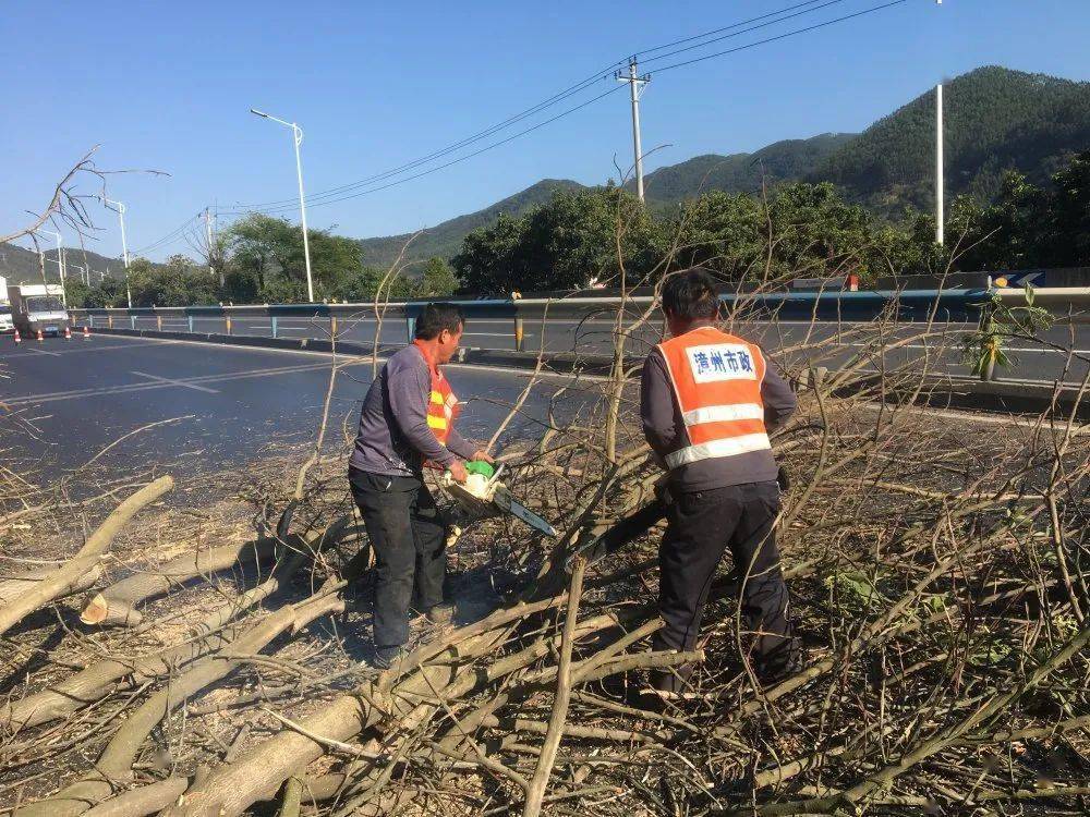 诏安县多少人口_诏安县何金生