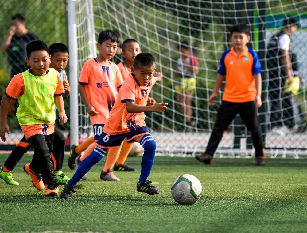 活力校园之大咖说 | 李崟:面向新时代的学生体育素养培养及提升_青少