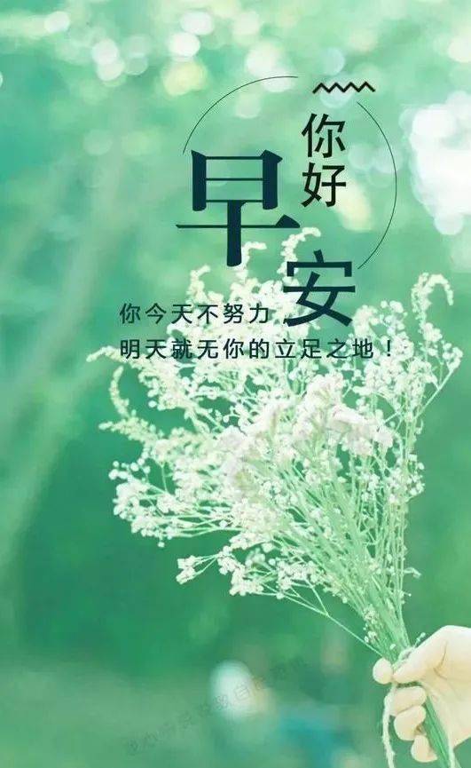 感悟人生的正能量经典句子句句精辟有哲理