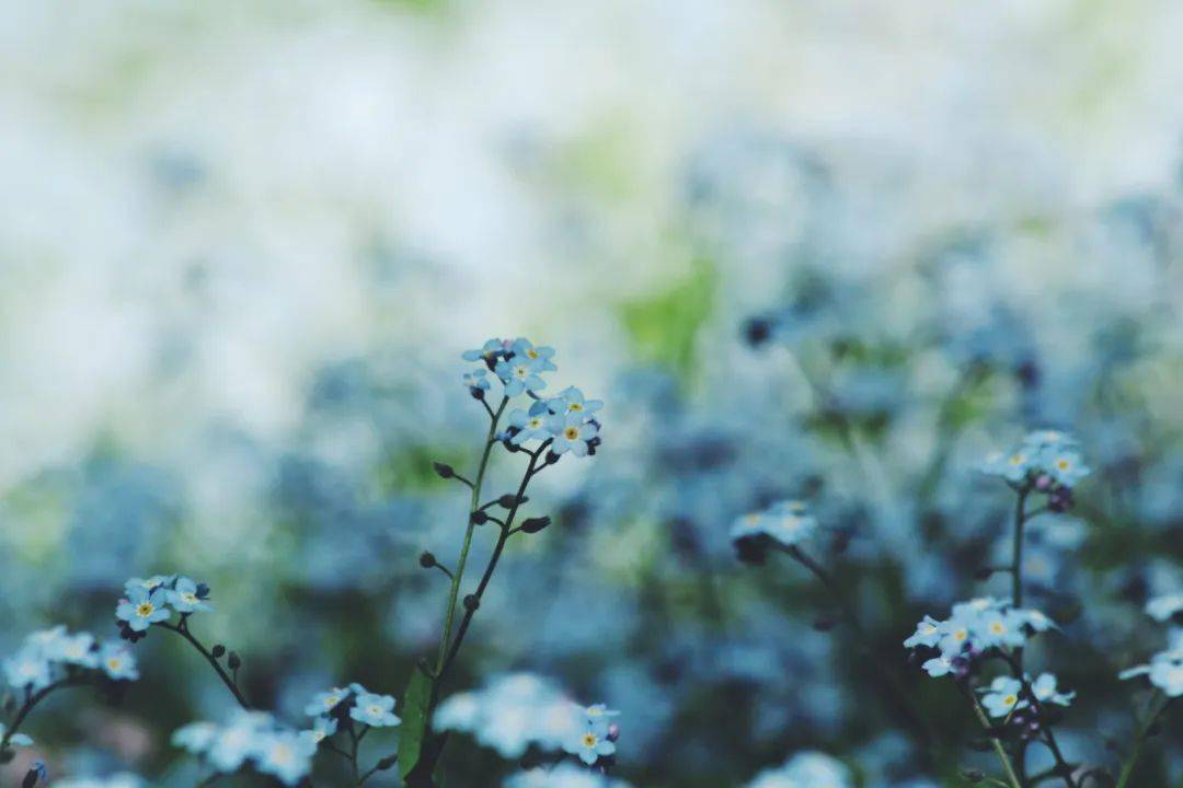 c96eee2e2df247be9a5f574f68449a39.jpeg