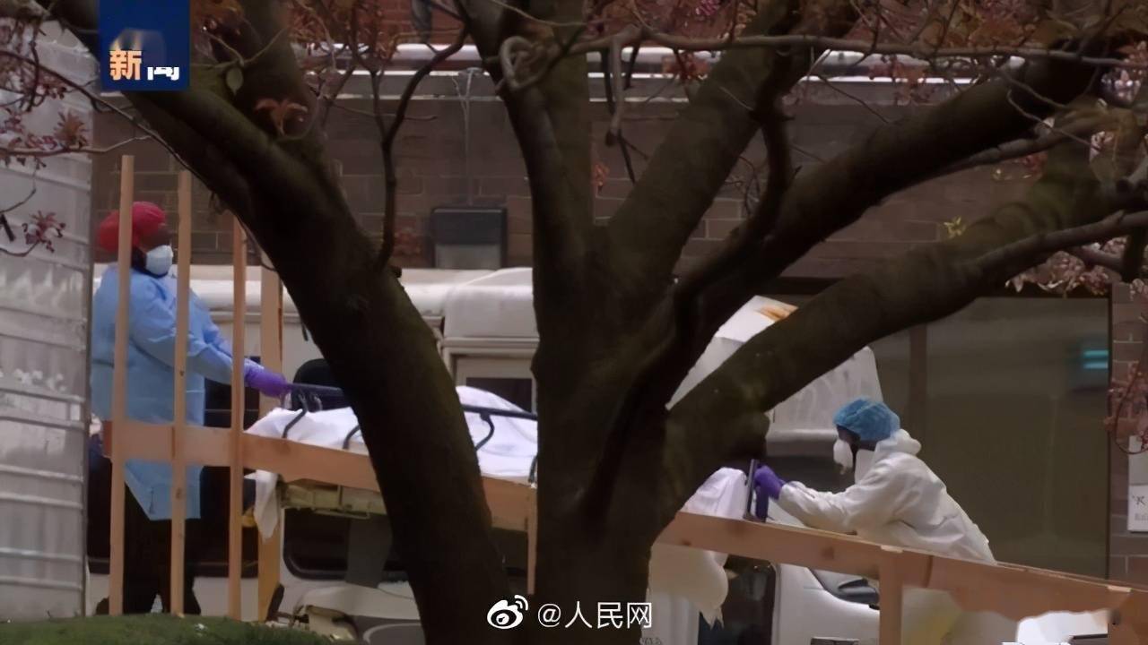 美国有多少人口死于新冠肺炎_美国有多少人口