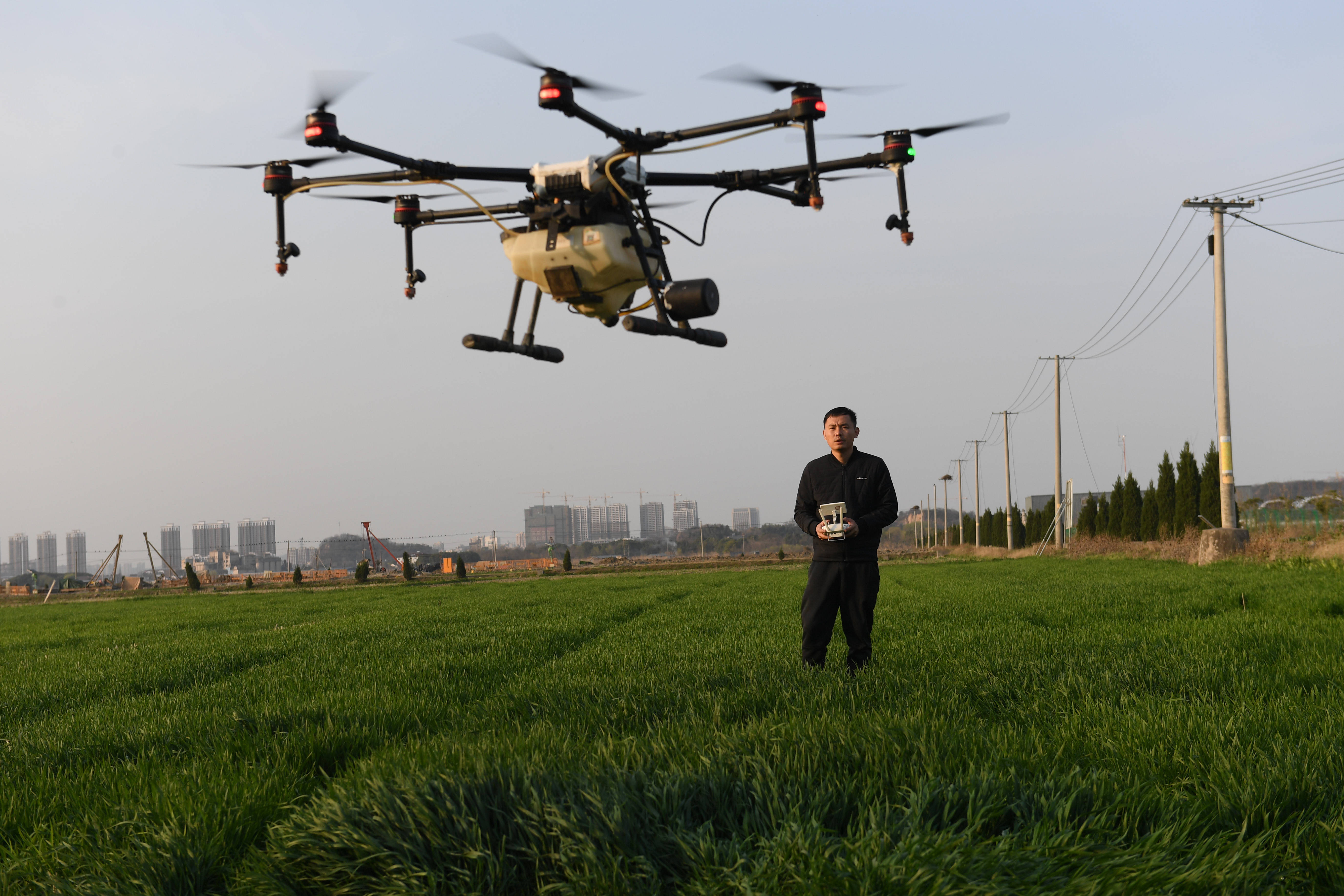 2月23日,湖州钱山下粮油专业合作社工作人员操纵无人机给小麦喷施农药