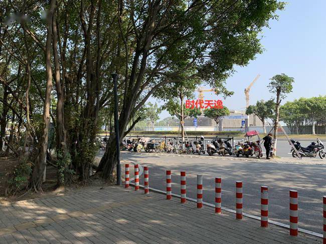 南沙黄阁5大楼盘pk价格奔3已是市场主旋律