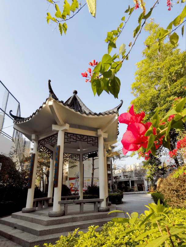 开学季牛年大吉努力向前犇庚子首义中山纪念学校开学掠影