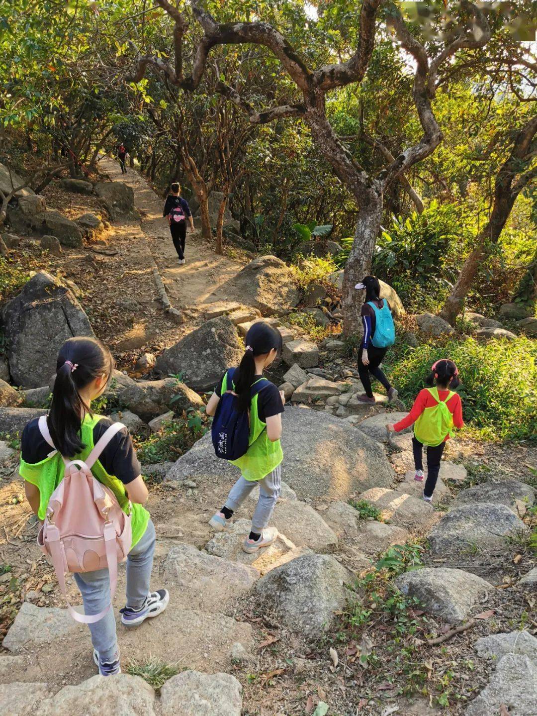 半日探索营童趣梅林山用山野的丰富陪伴孩子慢慢蜕变