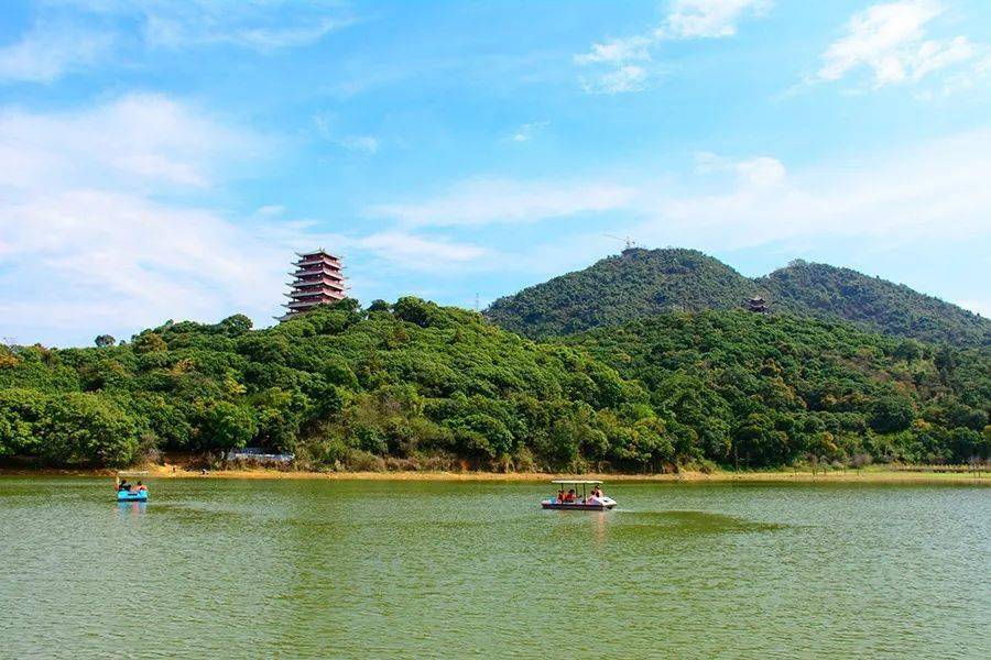 清溪这里美翻了万紫千红还惊动过央视