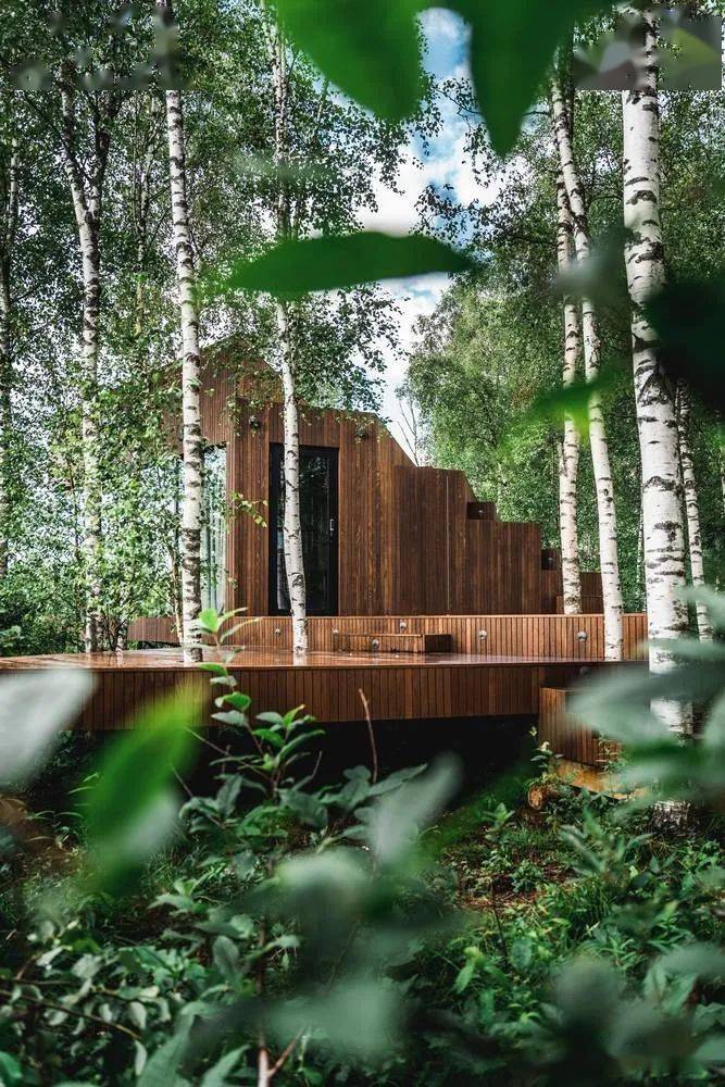 露台上的露台,沼泽边缘的自然木屋