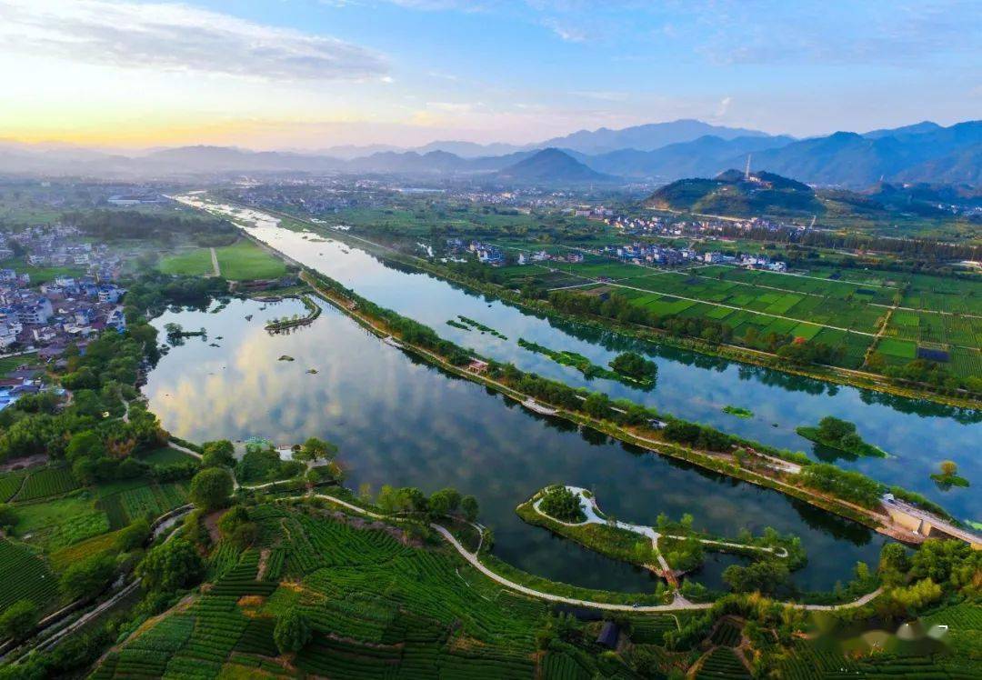 亮眼市政府工作报告中的松阳元素