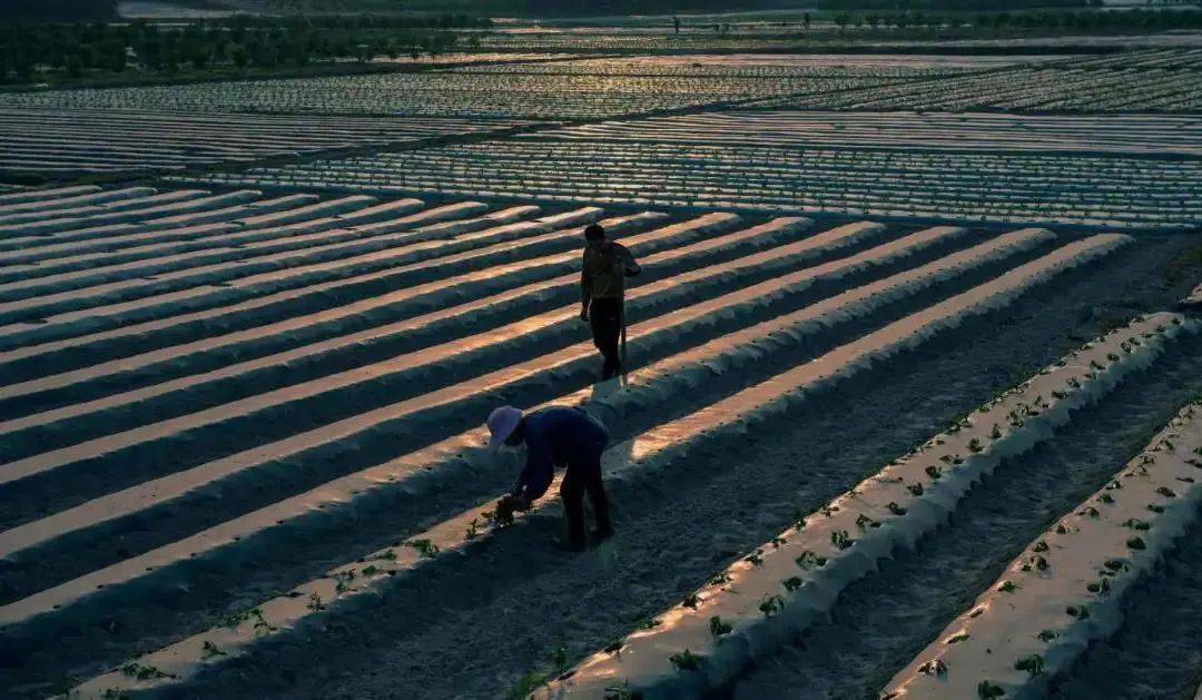 来宾市兴宾区良江镇gdp_广西来宾 强降雨引发地陷 现数十米深巨坑(3)