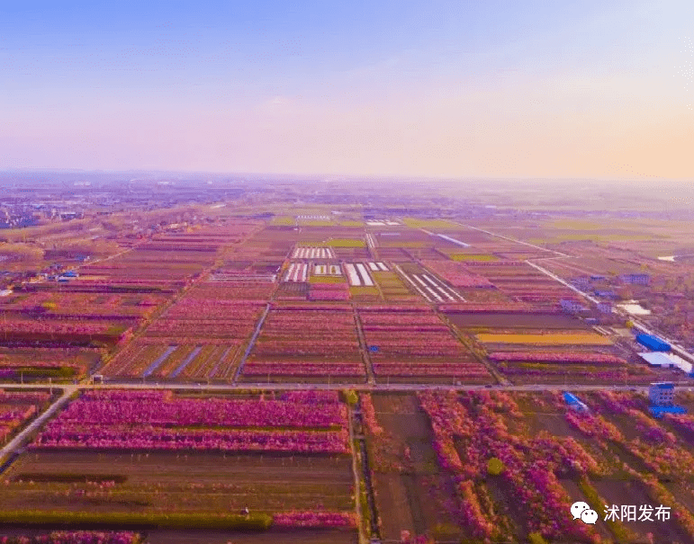 新华日报头版头题沭阳乡镇工业助推乡村振兴