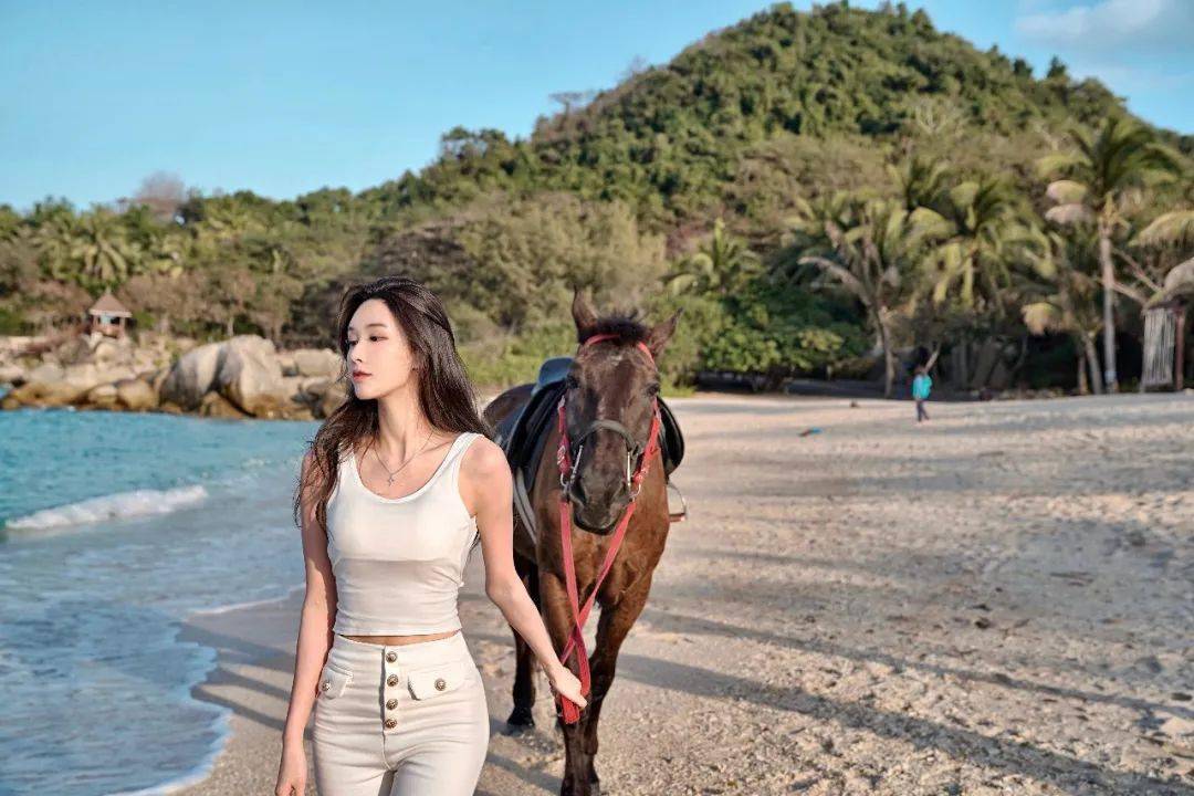 体验海岛新玩法做自己的骑士拍肯豆同款骑马照