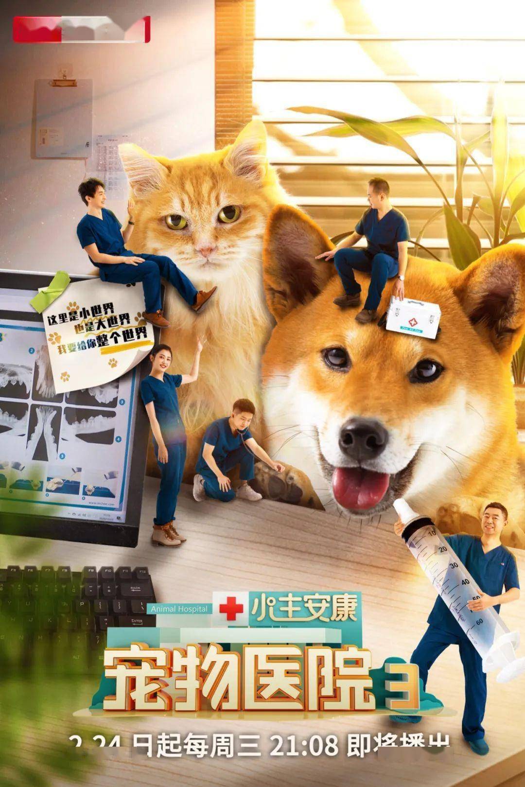 小主安康宠物医院3暖心开播聚焦动物医疗真实记录大小世界感动