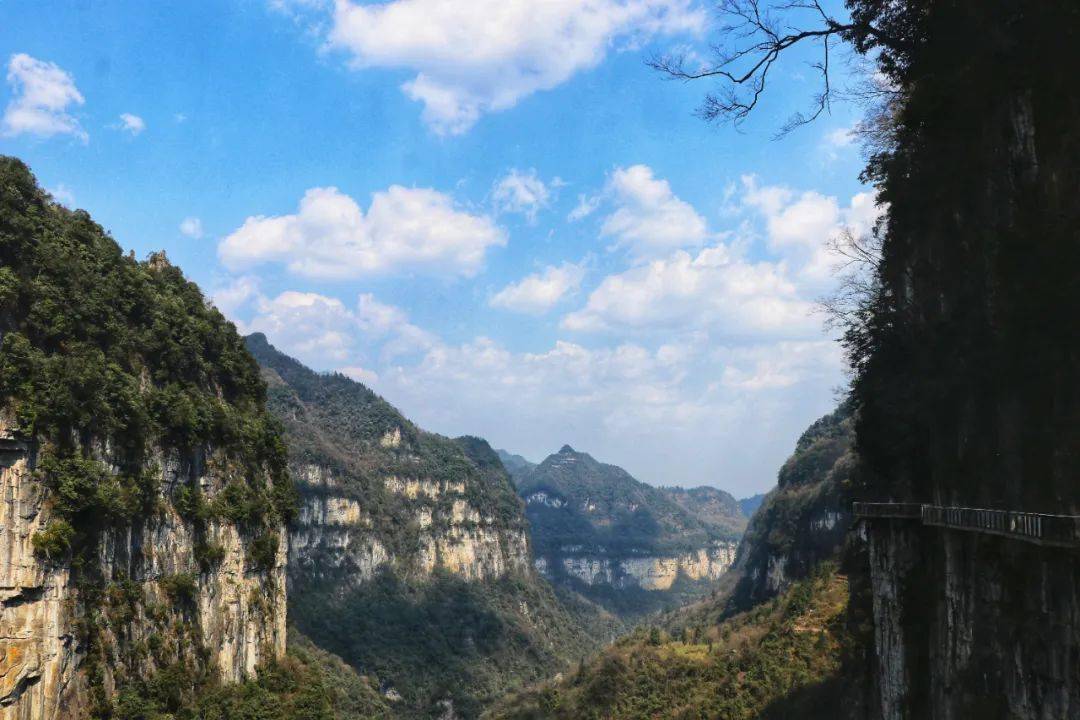 油杉河景區:節後旅遊熱度不減, 陽光明媚迎客來_遊客