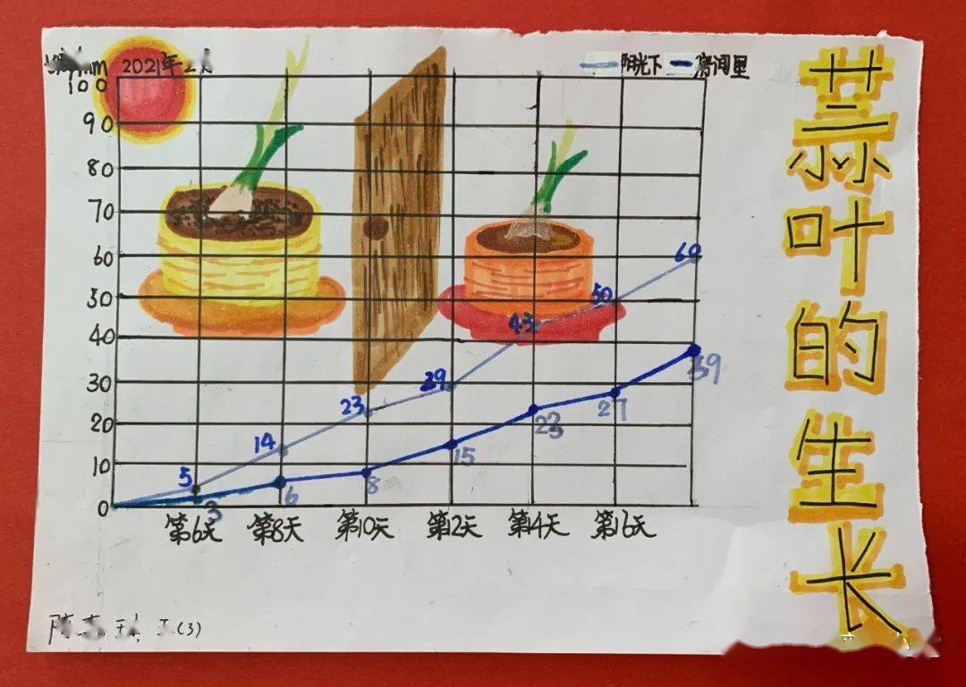 蒜叶的生长统计图图片