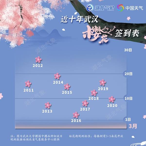 2021年武汉樱花预报 武大有望打破最早开花纪录