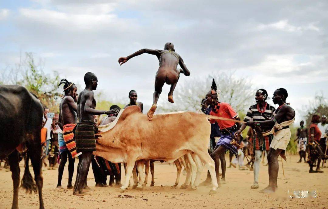 非洲跳牛 男孩图片