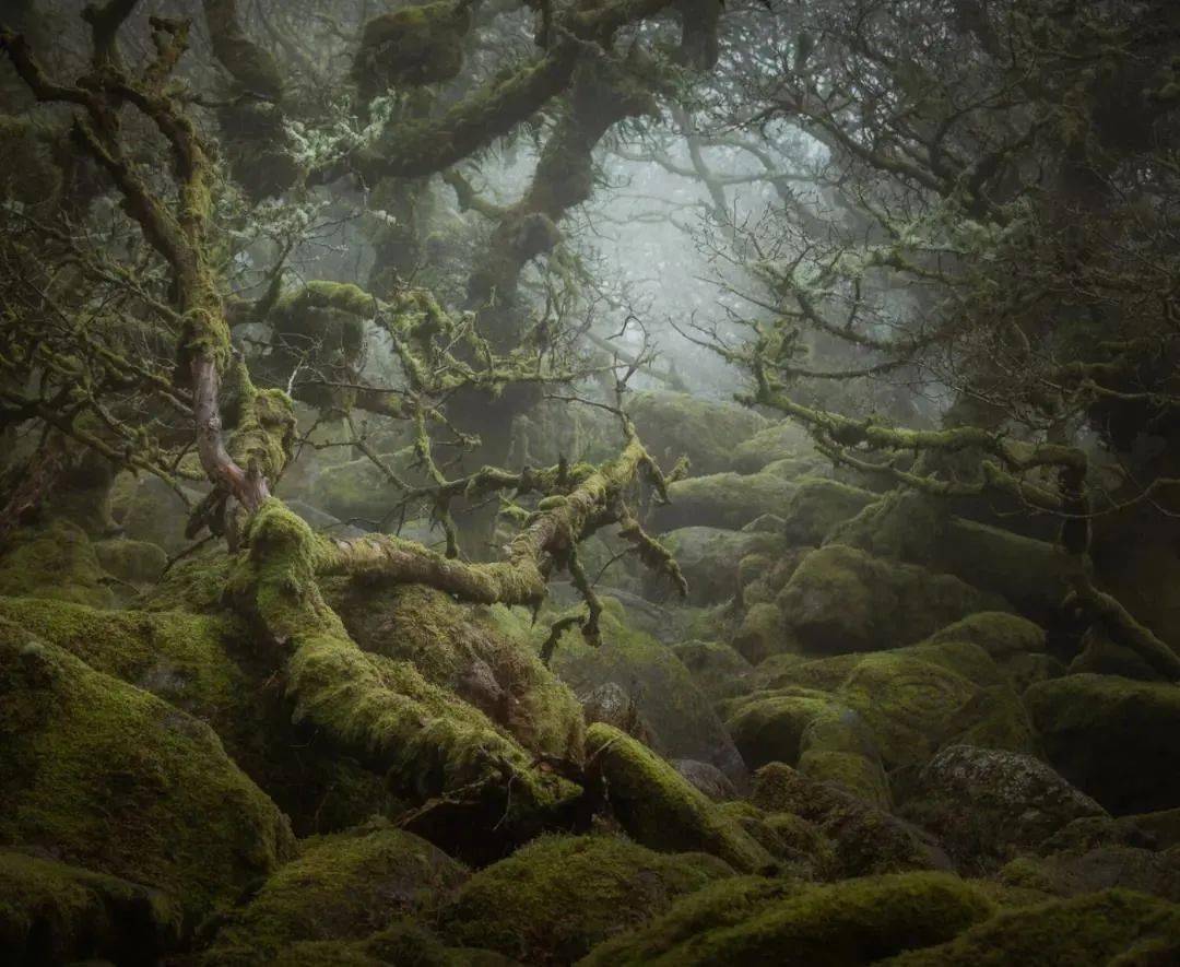 摄影2020年世界风光摄影大赛获奖作品