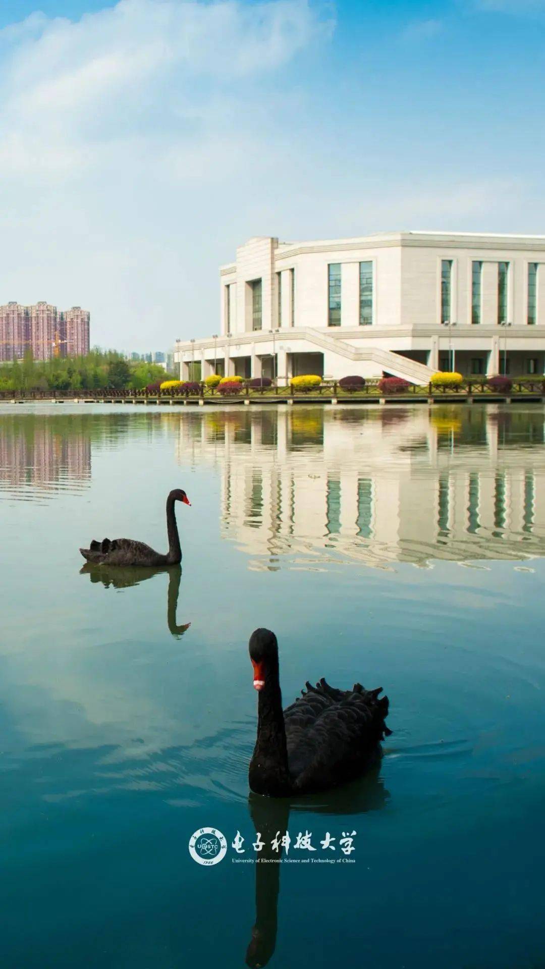 在四川只有02的考生能上电子科大这个专业全省仅招10人左右限1200名