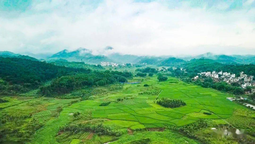 国家表彰郁南县平台镇荣获全国脱贫攻坚先进集体荣誉称号